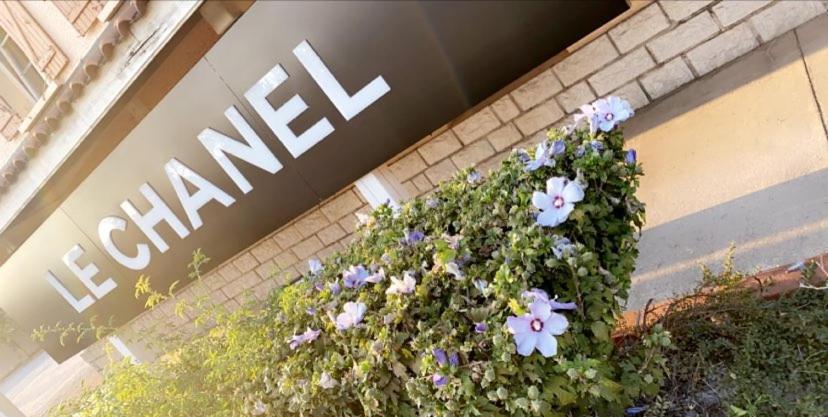 Hotel Restaurant Le Chanel Villieu Zewnętrze zdjęcie